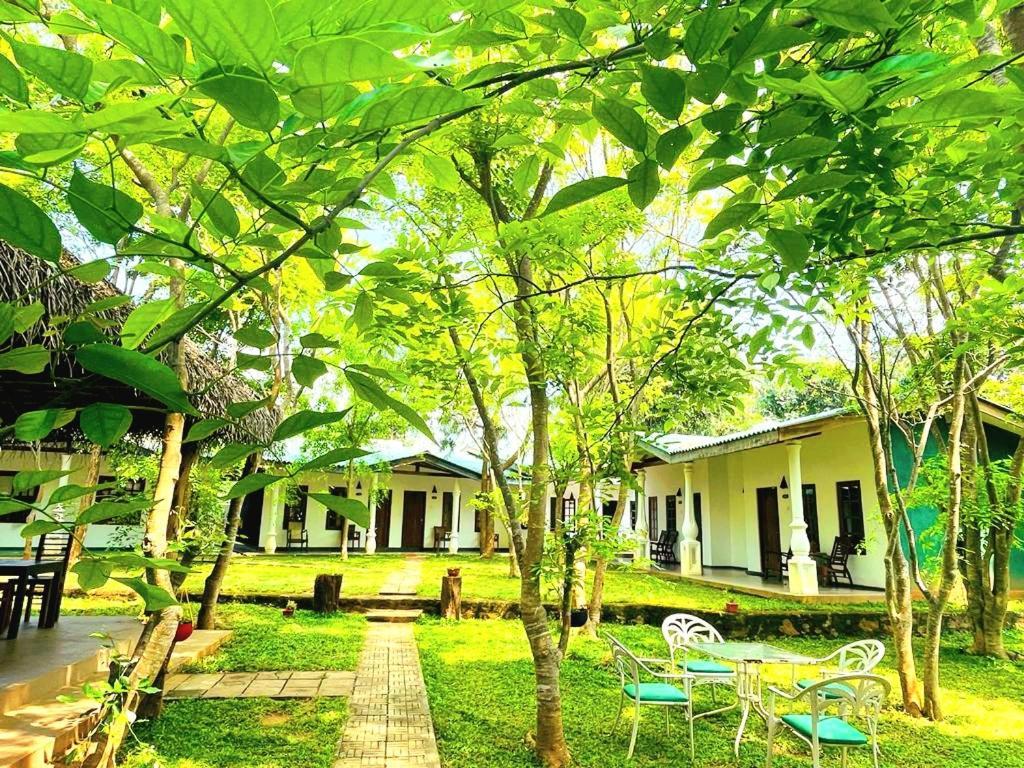 Kingfisher Resort Sigiriya Exterior foto
