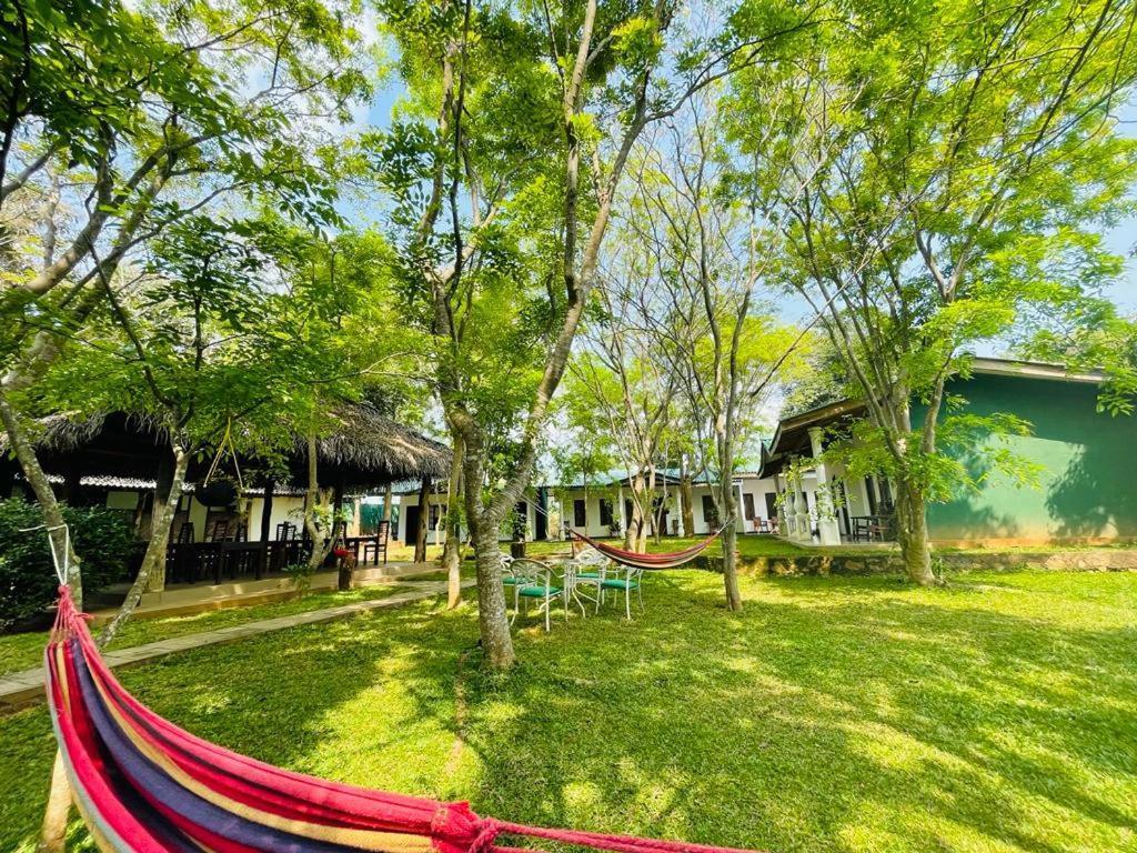 Kingfisher Resort Sigiriya Exterior foto