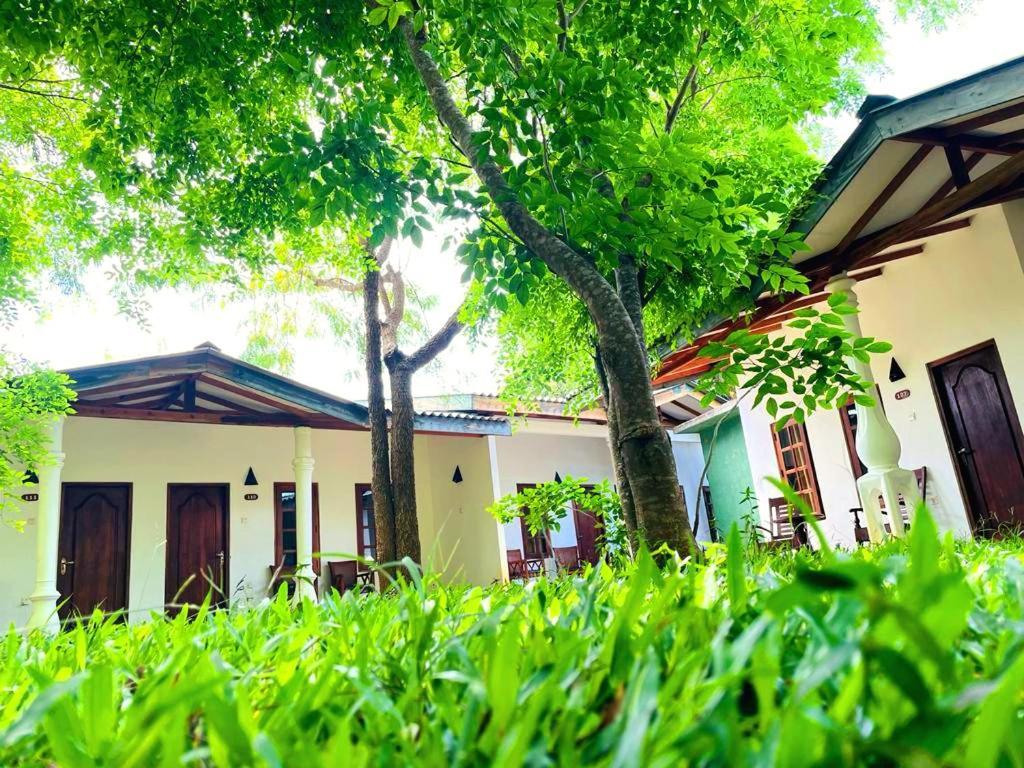 Kingfisher Resort Sigiriya Exterior foto
